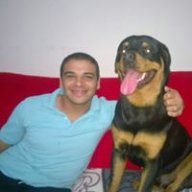 amr.basyouny