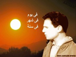 safar_vd142